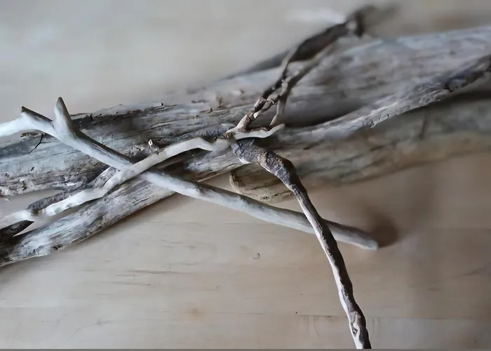 Atelier 66 Relax - In Apartament *