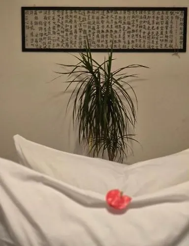 Atelier 66 Relax - In