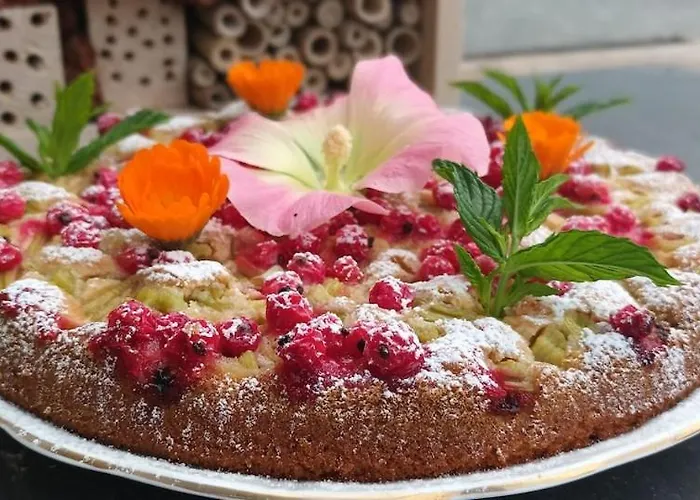 Atelier 66 Relax - In