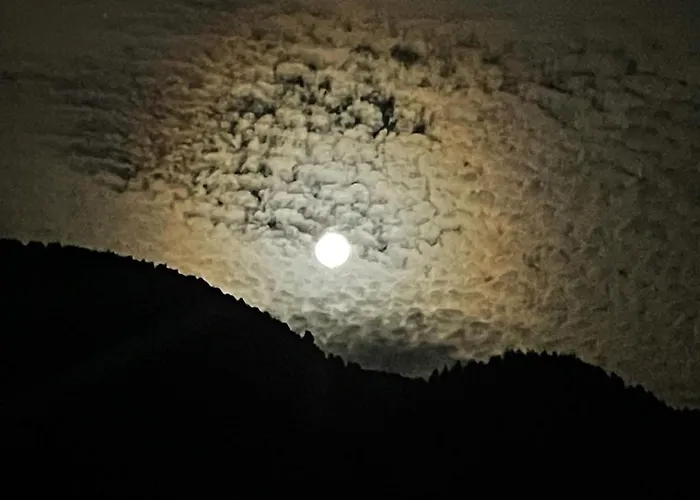 Atelier 66 Relax - In